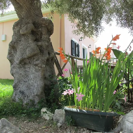 Harmony Villas Villa Lygia (Lefkada)